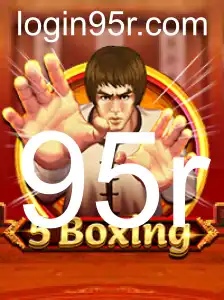 Descubra o Fascinante Mundo de 5Boxing
